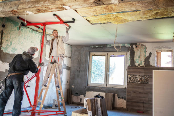 Best Spray Foam Insulation  in Live Oak, CA