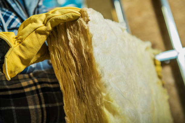 Best Home Insulation Services  in Live Oak, CA